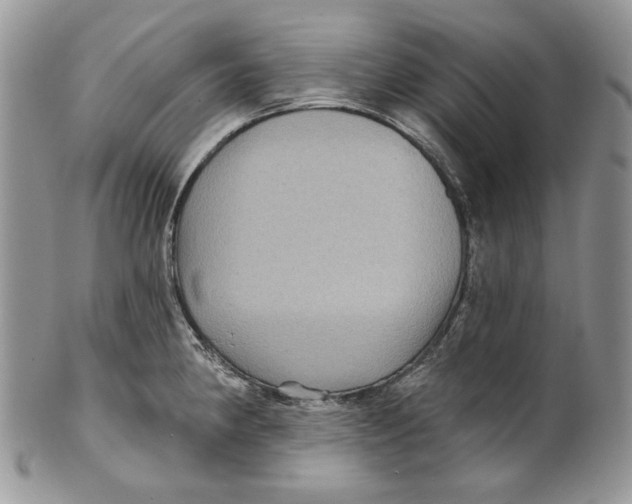 X0000101141190200807251019