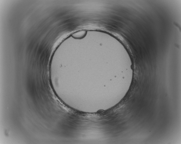 X0000101141191200807251019