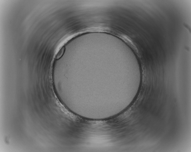 X0000101141192200807251019