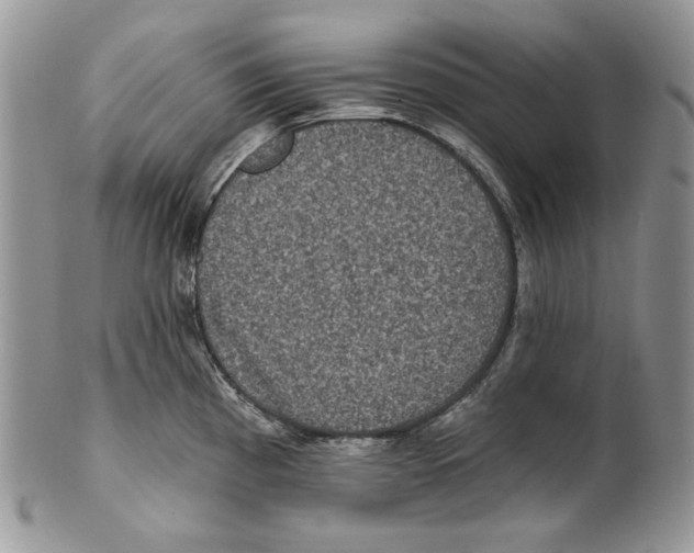 X0000101141193200807251019