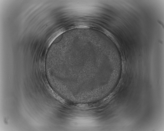 X0000101141194200807251019