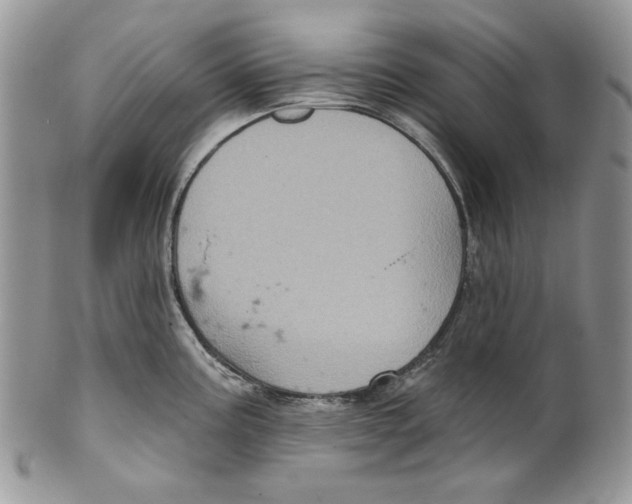 X0000101141195200807251019