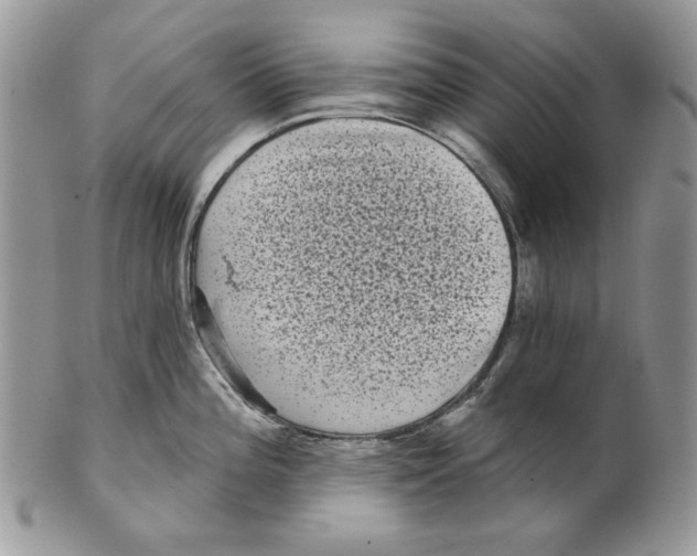 X0000101141196200807251019