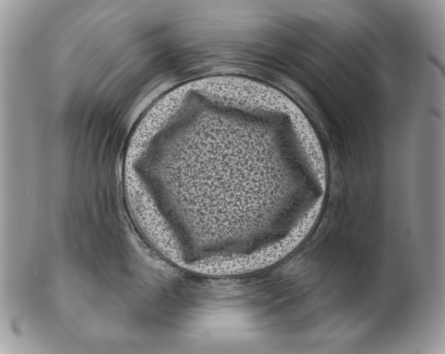 X0000101141198200807251019