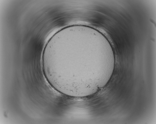 X0000101141199200807251019