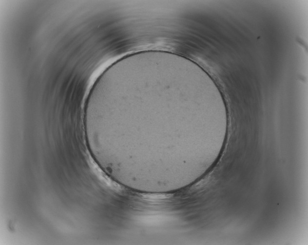 X0000101141200200807251019