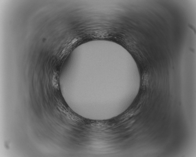 X0000101141202200807251018