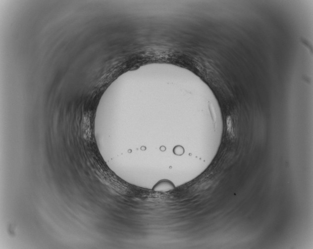 X0000101141203200807251018