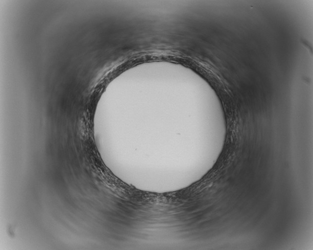 X0000101141207200807251018