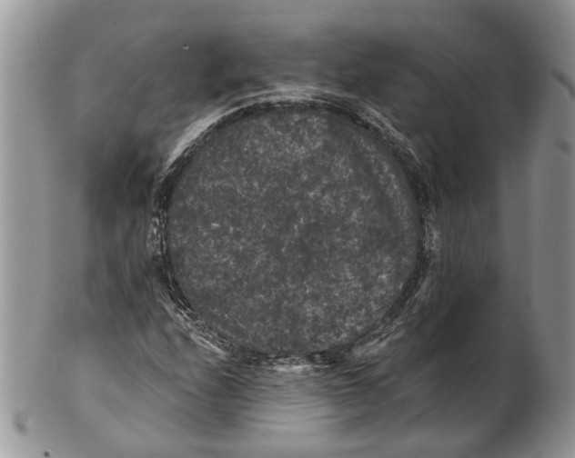 X0000101141208200807251018