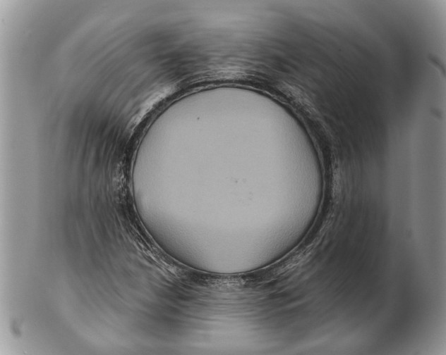 X0000101141210200807251018