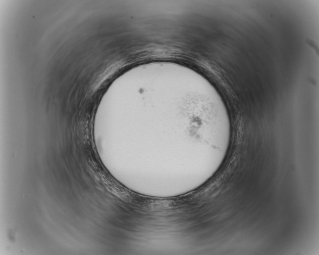 X0000101141211200807251018