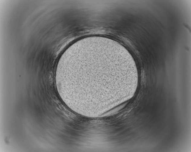 X0000101141212200807251018