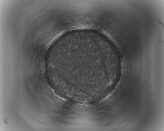 X0000101141213200807251018