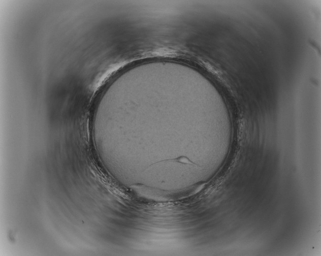 X0000101141214200807251018