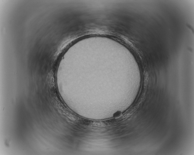 X0000101141215200807251018