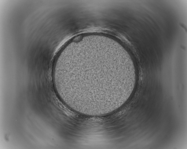 X0000101141216200807251018