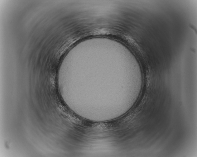 X0000101141217200807251018