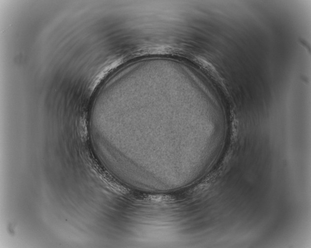 X0000101141218200807251018