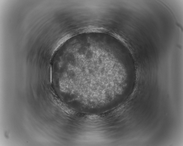 X0000101141219200807251018