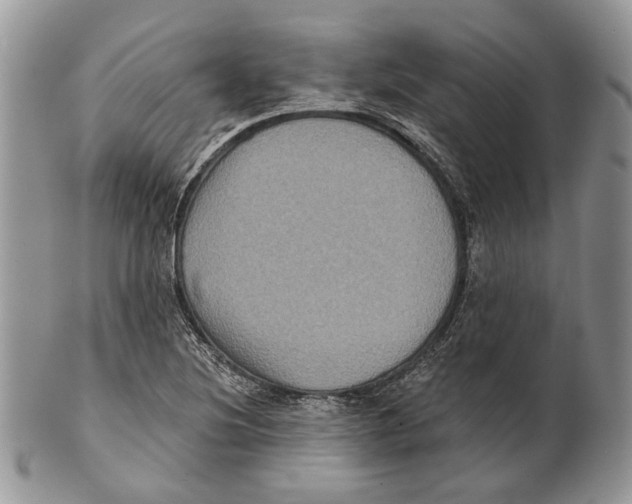 X0000101141220200807251018