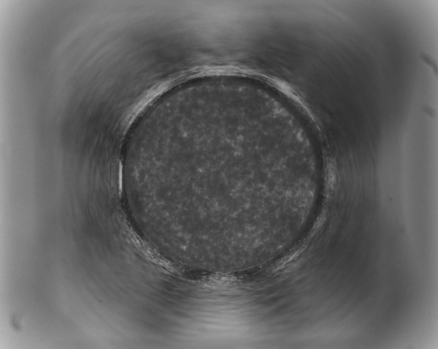 X0000101141221200807251018