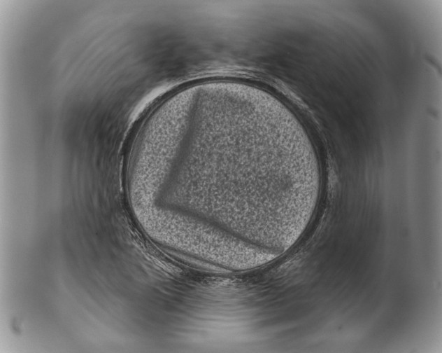 X0000101141222200807251018