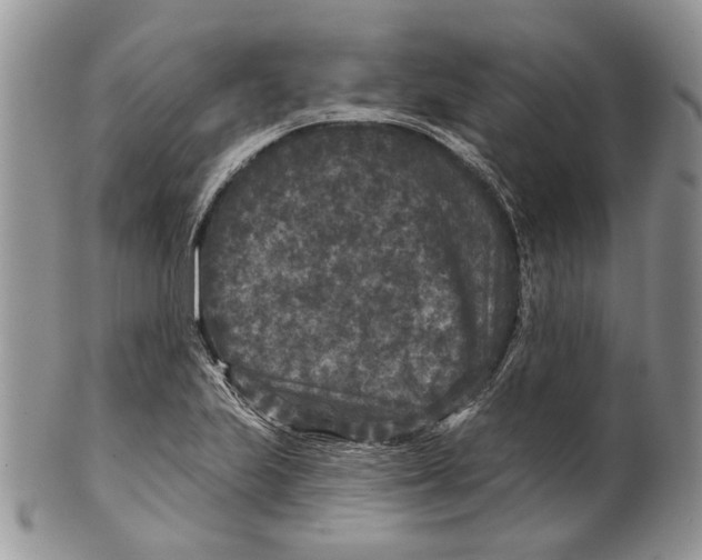 X0000101141223200807251018