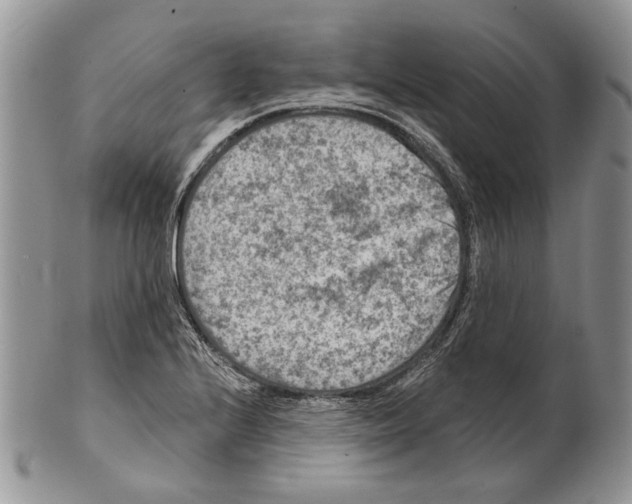 X0000101141224200807251018