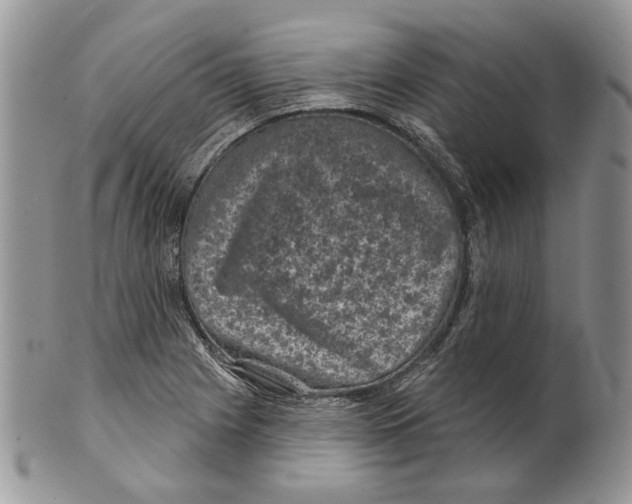 X0000101141225200807251018