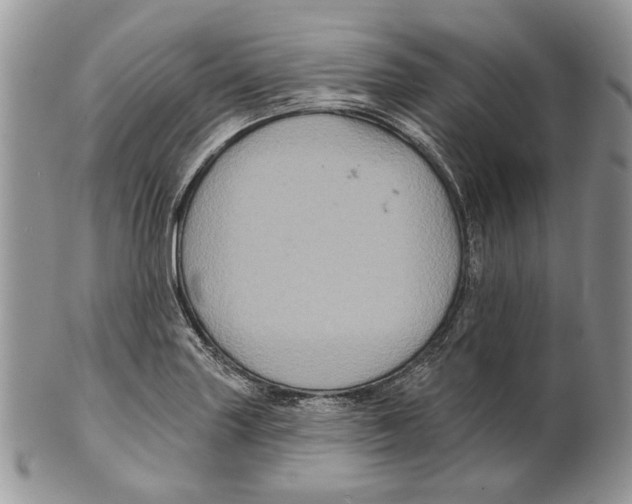 X0000101141227200807251018