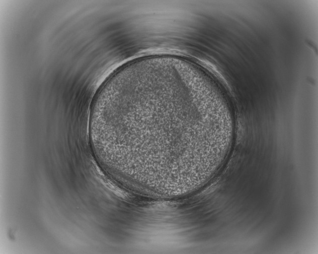 X0000101141228200807251018