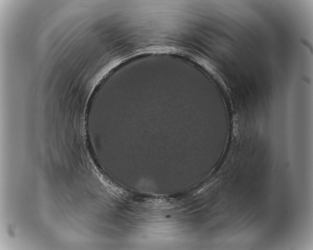 X0000101141229200807251018