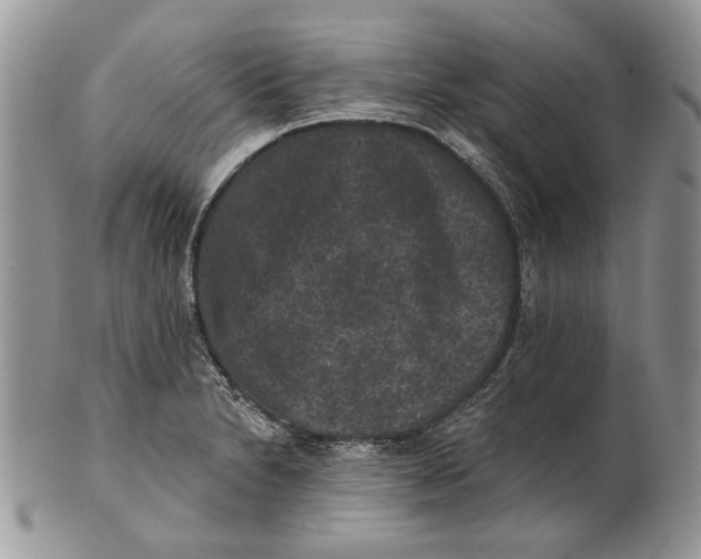 X0000101141230200807251018