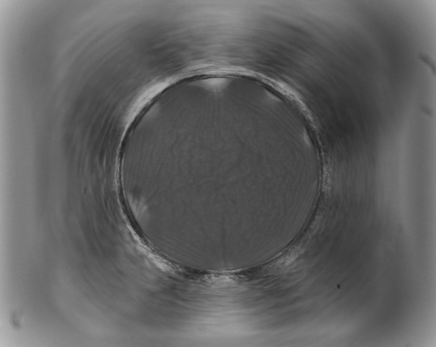 X0000101141231200807251018