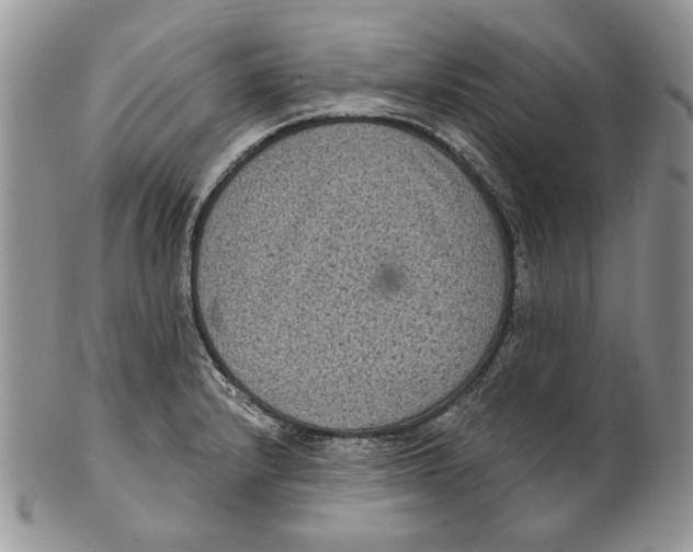 X0000101141232200807251018