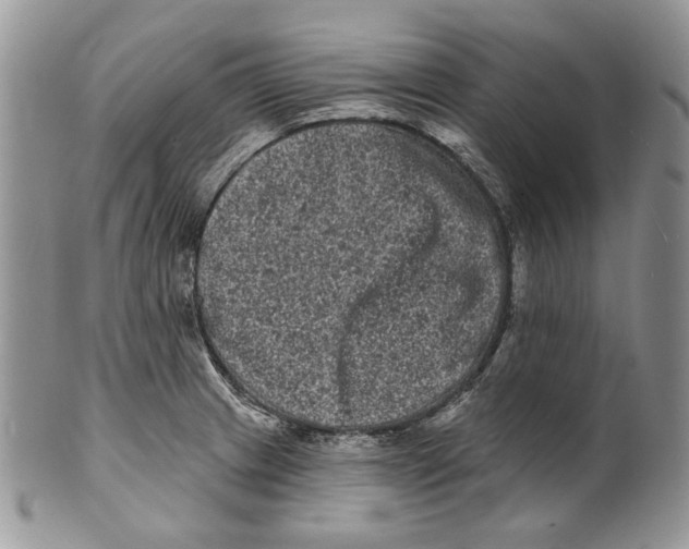 X0000101141233200807251018