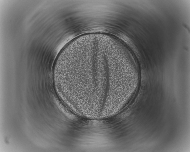 X0000101141234200807251019