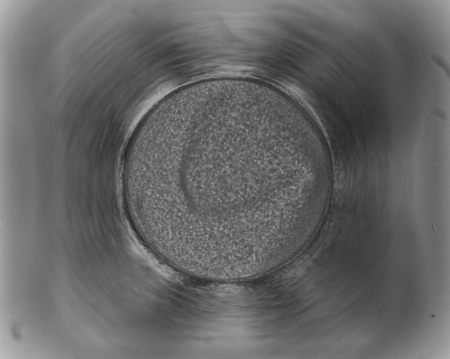 X0000101141235200807251019