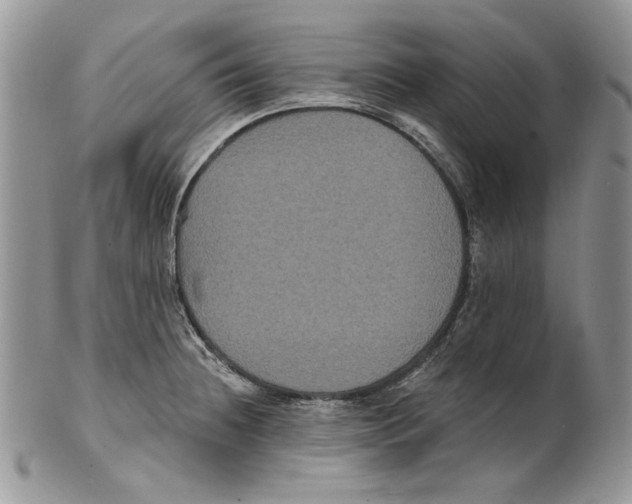 X0000101141236200807251019