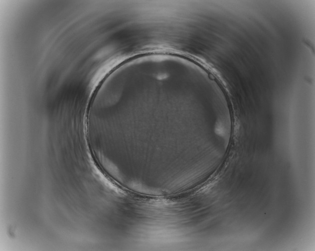 X0000101141239200807251019