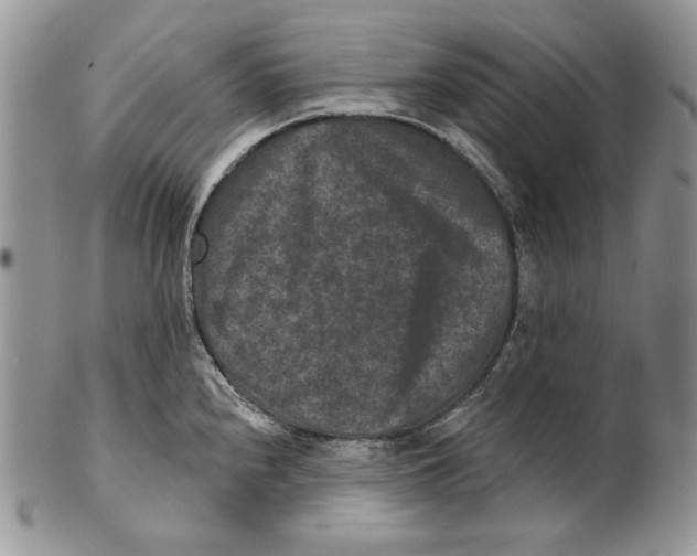 X0000101141240200807251019