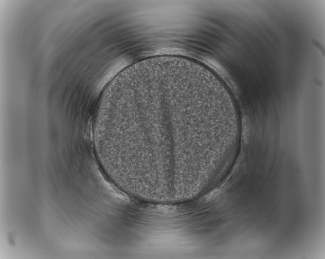 X0000101141241200807251019