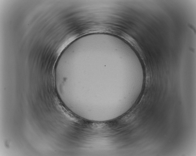 X0000101141242200807251019