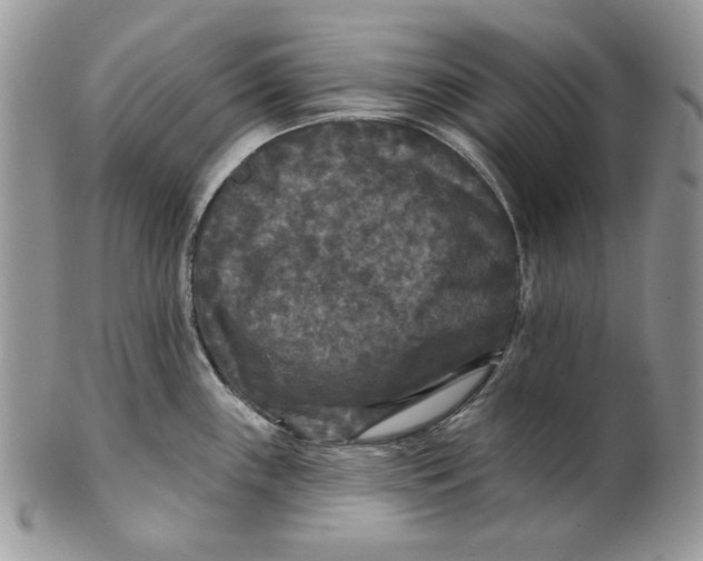 X0000101141243200807251019