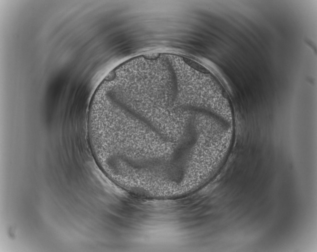 X0000101141244200807251019