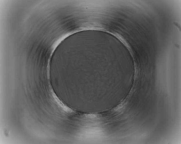 X0000101141246200807251019