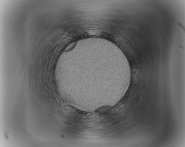 X0000101141249200807251018