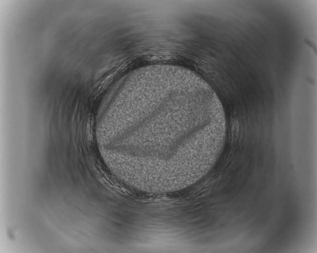 X0000101141250200807251018