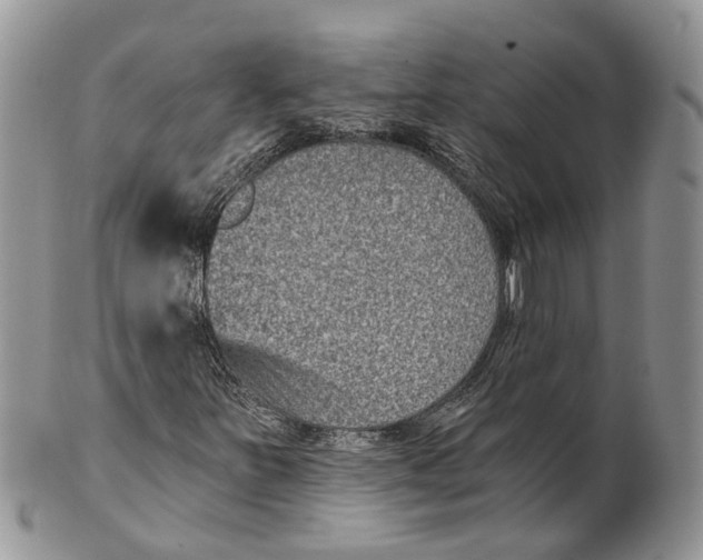 X0000101141251200807251018